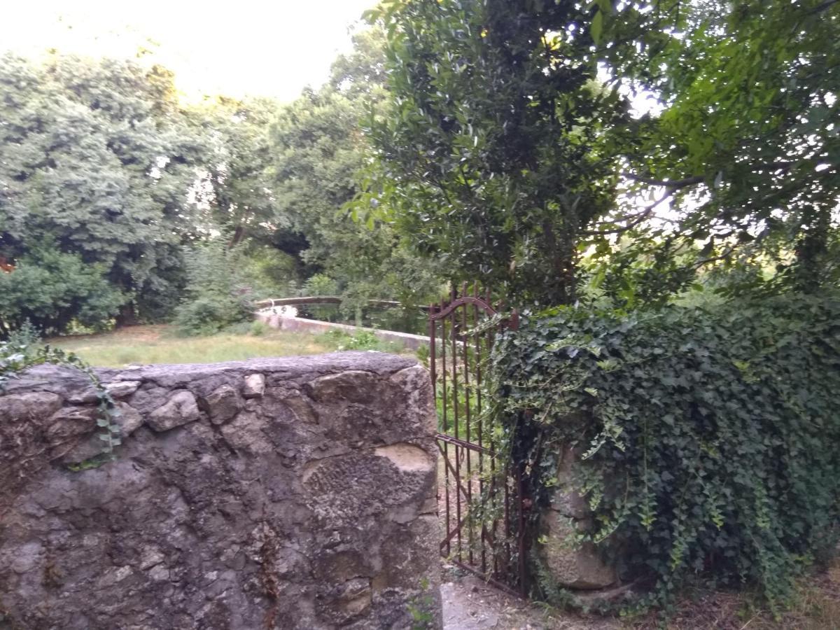 Jankovich Castle Apartment Benkovac Ngoại thất bức ảnh
