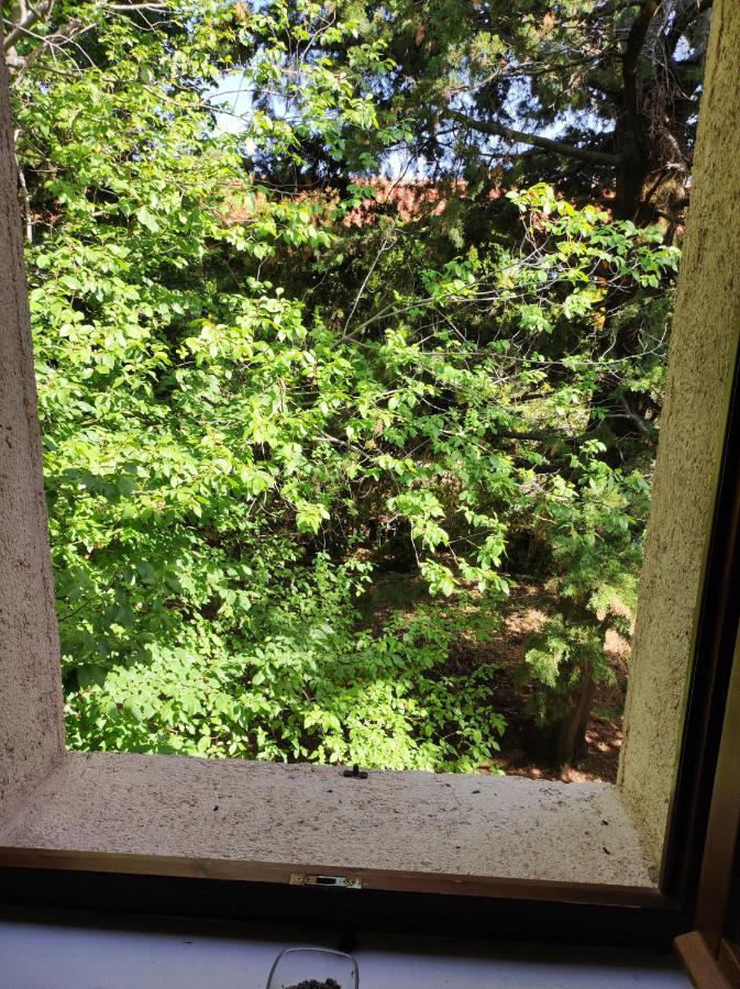 Jankovich Castle Apartment Benkovac Ngoại thất bức ảnh